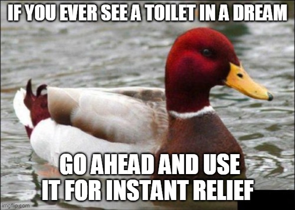 Malicious Advice Mallard | IF YOU EVER SEE A TOILET IN A DREAM; GO AHEAD AND USE IT FOR INSTANT RELIEF | image tagged in memes,malicious advice mallard | made w/ Imgflip meme maker