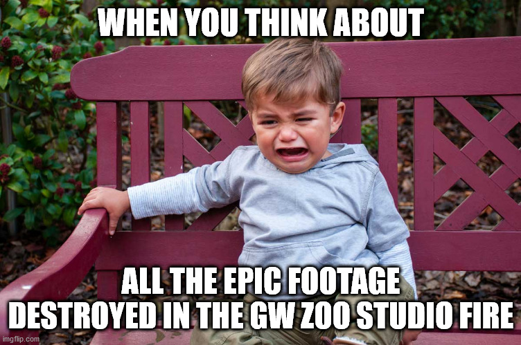 The Train Wreck Footage Never To Be Seen | WHEN YOU THINK ABOUT; ALL THE EPIC FOOTAGE DESTROYED IN THE GW ZOO STUDIO FIRE | image tagged in funny,tiger king | made w/ Imgflip meme maker