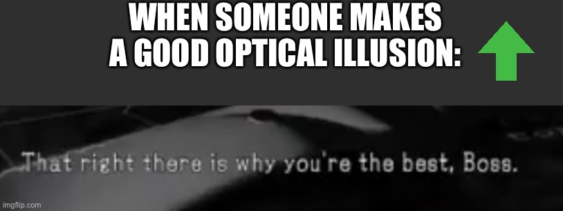WHEN SOMEONE MAKES A GOOD OPTICAL ILLUSION: | made w/ Imgflip meme maker