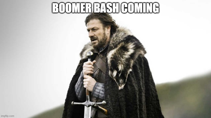 Brace yourself  | BOOMER BASH COMING | image tagged in brace yourself | made w/ Imgflip meme maker