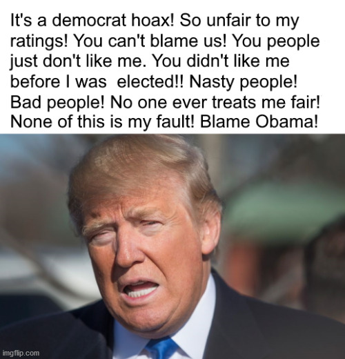 Crying and Lying Orange Pig | image tagged in politics,trumptards,theorangepig | made w/ Imgflip meme maker
