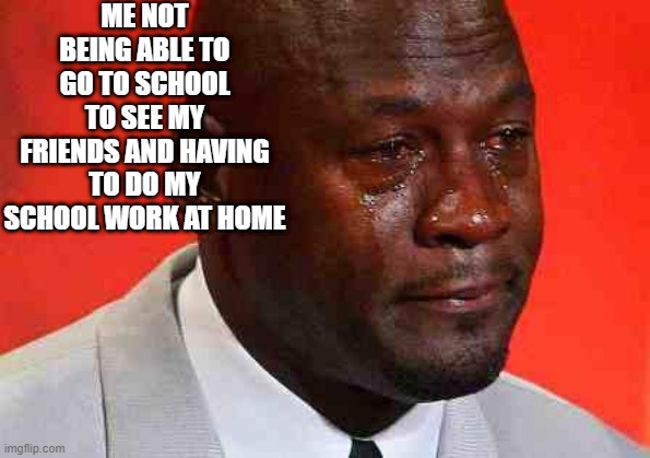 crying michael jordan | ME NOT BEING ABLE TO GO TO SCHOOL TO SEE MY FRIENDS AND HAVING TO DO MY SCHOOL WORK AT HOME | image tagged in crying michael jordan | made w/ Imgflip meme maker