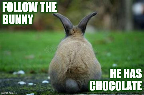 FOLLOW THE BUNNY | FOLLOW THE
BUNNY; HE HAS
CHOCOLATE | image tagged in bunny,easter bunny,easter,chocolate,follow,rabbit | made w/ Imgflip meme maker