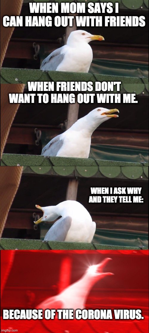 Inhaling Seagull | WHEN MOM SAYS I CAN HANG OUT WITH FRIENDS; WHEN FRIENDS DON'T WANT TO HANG OUT WITH ME. WHEN I ASK WHY AND THEY TELL ME:; BECAUSE OF THE CORONA VIRUS. | image tagged in memes,inhaling seagull | made w/ Imgflip meme maker