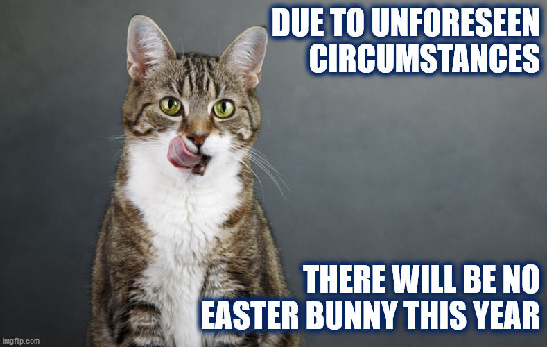 NO EATER BUNNY |  DUE TO UNFORESEEN
CIRCUMSTANCES; THERE WILL BE NO
EASTER BUNNY THIS YEAR | image tagged in cat,easter,easter bunny,hungry,hungry cat,tabby cat | made w/ Imgflip meme maker