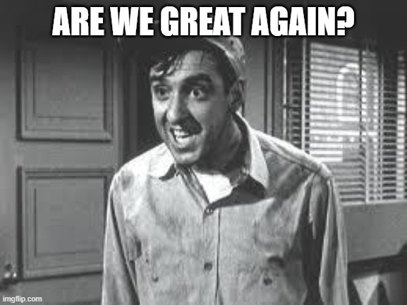 Gomer Pyle | ARE WE GREAT AGAIN? | image tagged in gomer pyle | made w/ Imgflip meme maker