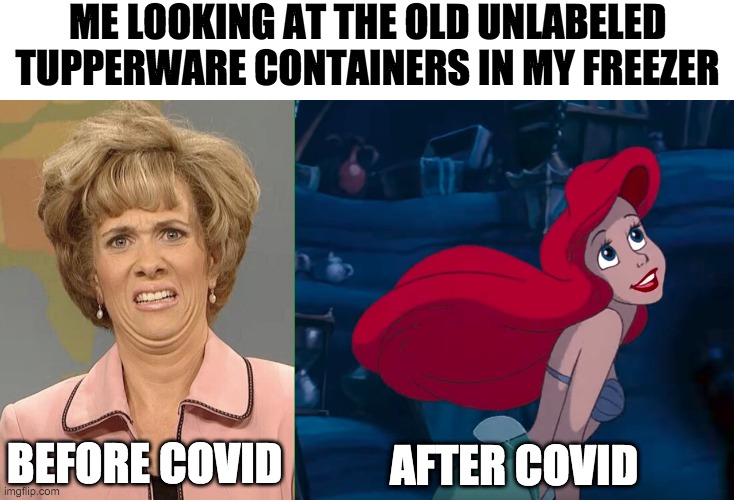 ME LOOKING AT THE OLD UNLABELED
TUPPERWARE CONTAINERS IN MY FREEZER; BEFORE COVID; AFTER COVID | image tagged in eww | made w/ Imgflip meme maker