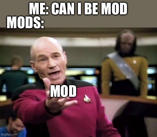 Picard Wtf | ME: CAN I BE MOD; MODS:; MOD | image tagged in memes,picard wtf | made w/ Imgflip meme maker