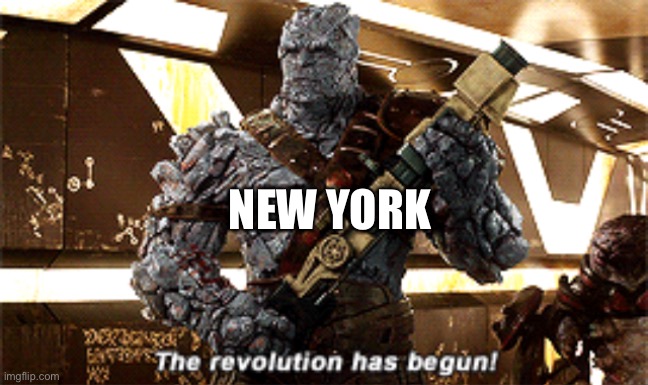 The revolution has begun | NEW YORK | image tagged in the revolution has begun | made w/ Imgflip meme maker