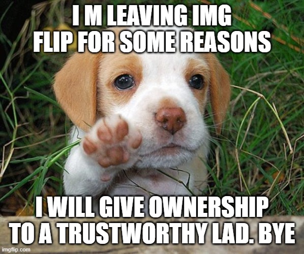 dog puppy bye | I M LEAVING IMG FLIP FOR SOME REASONS; I WILL GIVE OWNERSHIP TO A TRUSTWORTHY LAD. BYE | image tagged in dog puppy bye | made w/ Imgflip meme maker