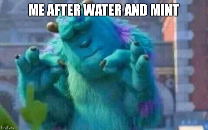 Sully shutdown | ME AFTER WATER AND MINT | image tagged in sully shutdown | made w/ Imgflip meme maker