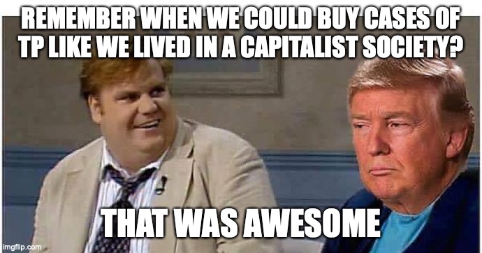 Remember that time | REMEMBER WHEN WE COULD BUY CASES OF TP LIKE WE LIVED IN A CAPITALIST SOCIETY? THAT WAS AWESOME | image tagged in remember that time | made w/ Imgflip meme maker