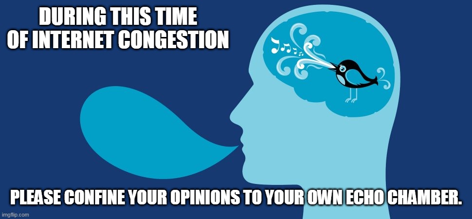 Public service announcement | DURING THIS TIME OF INTERNET CONGESTION; PLEASE CONFINE YOUR OPINIONS TO YOUR OWN ECHO CHAMBER. | image tagged in coronavirus,politics | made w/ Imgflip meme maker