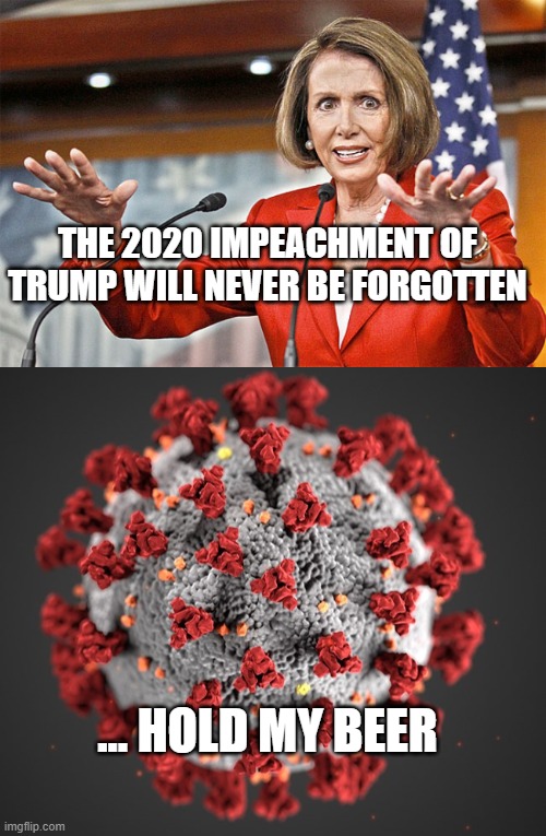 THE 2020 IMPEACHMENT OF TRUMP WILL NEVER BE FORGOTTEN; ... HOLD MY BEER | image tagged in nancy pelosi is crazy | made w/ Imgflip meme maker