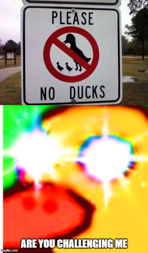 this is a warning | ARE YOU CHALLENGING ME | image tagged in duck song meme,memes,funny,duck,road signs | made w/ Imgflip meme maker