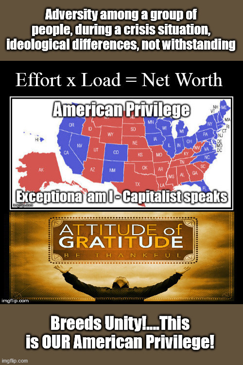 American Privilege | Adversity among a group of people, during a crisis situation, ideological differences, not withstanding; Breeds Unity!....This is OUR American Privilege! | image tagged in privilege,false narrative,shuck jive,self worth | made w/ Imgflip meme maker