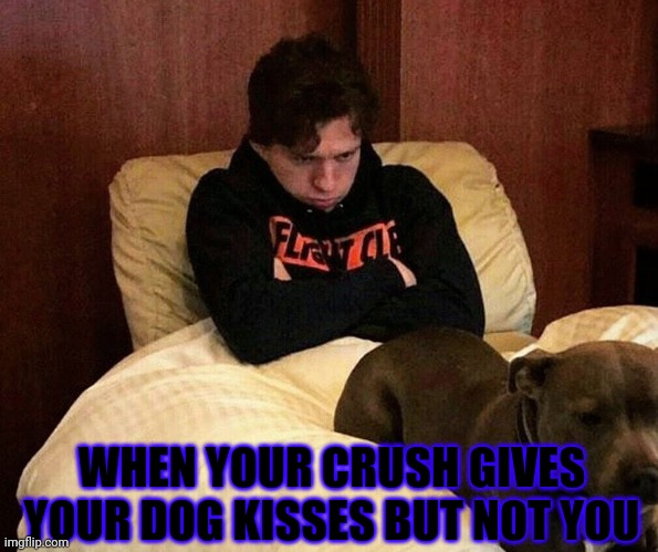 Tom Holland | WHEN YOUR CRUSH GIVES YOUR DOG KISSES BUT NOT YOU | image tagged in tom holland | made w/ Imgflip meme maker