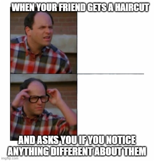 I'm sorry I didn't notice   ;) | WHEN YOUR FRIEND GETS A HAIRCUT; AND ASKS YOU IF YOU NOTICE ANYTHING DIFFERENT ABOUT THEM | image tagged in lol so funny | made w/ Imgflip meme maker