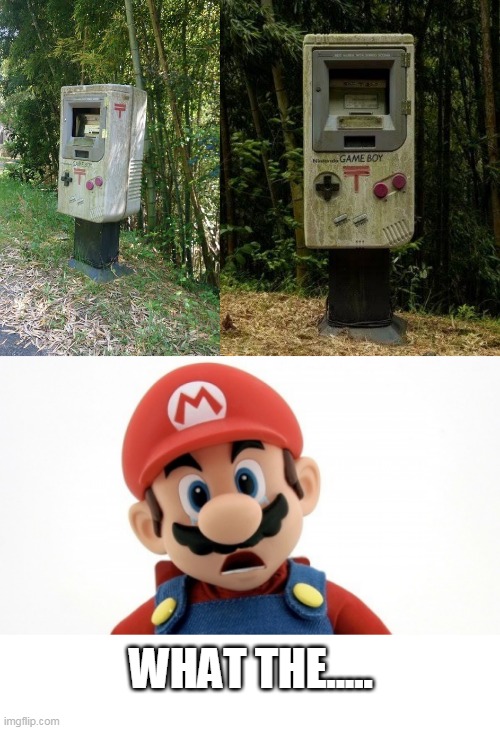 ? | WHAT THE..... | image tagged in memes,super mario,mario,gameboy,wtf | made w/ Imgflip meme maker