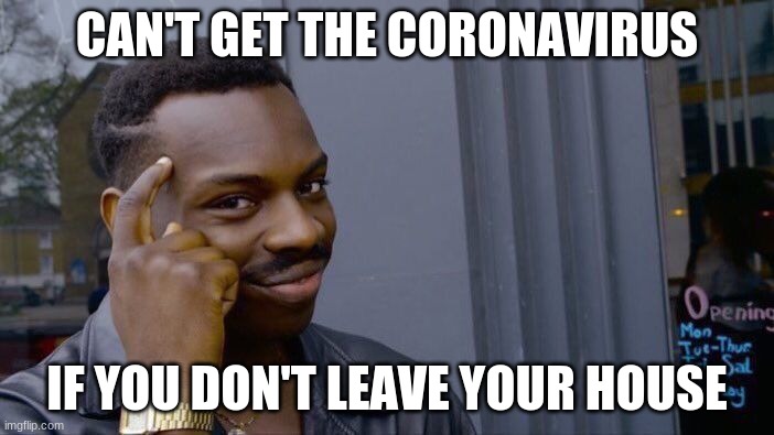 Roll Safe Think About It Meme | CAN'T GET THE CORONAVIRUS; IF YOU DON'T LEAVE YOUR HOUSE | image tagged in memes,roll safe think about it | made w/ Imgflip meme maker
