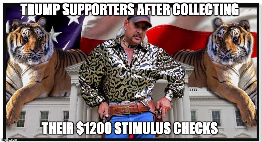 Joe Exotic | TRUMP SUPPORTERS AFTER COLLECTING; THEIR $1200 STIMULUS CHECKS | image tagged in joe exotic | made w/ Imgflip meme maker