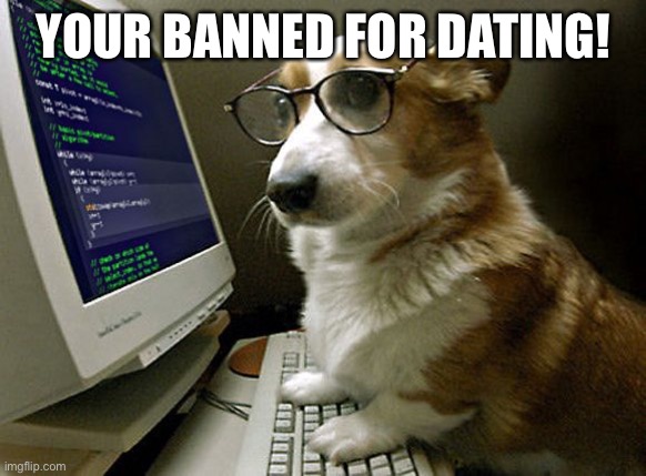 corgi hacker | YOUR BANNED FOR DATING! | image tagged in corgi hacker | made w/ Imgflip meme maker