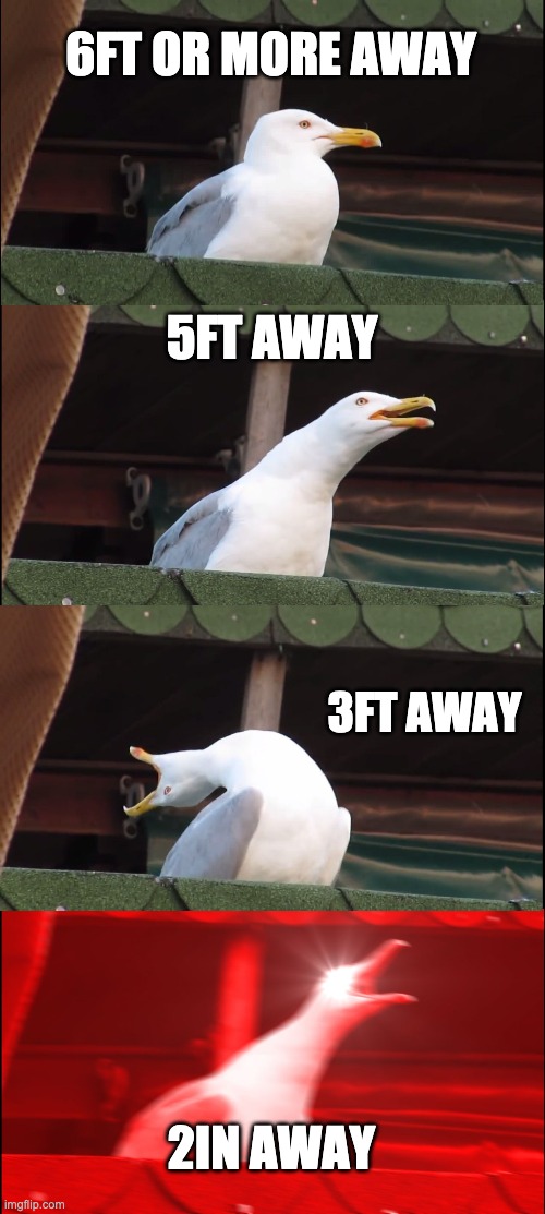 Inhaling Seagull Meme | 6FT OR MORE AWAY; 5FT AWAY; 3FT AWAY; 2IN AWAY | image tagged in memes,inhaling seagull | made w/ Imgflip meme maker