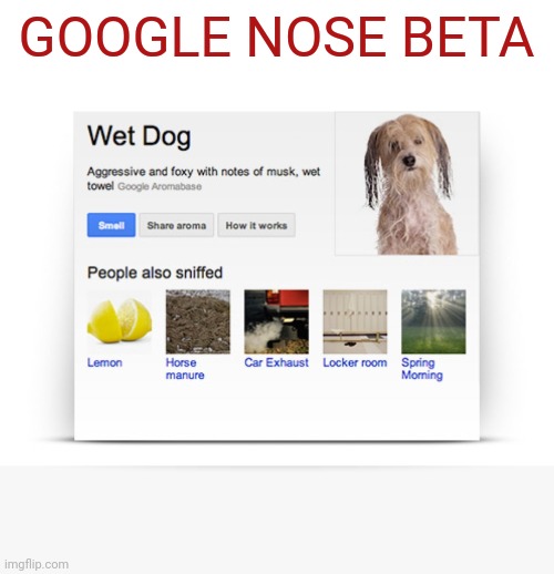 GOOGLE NOSE BETA | made w/ Imgflip meme maker