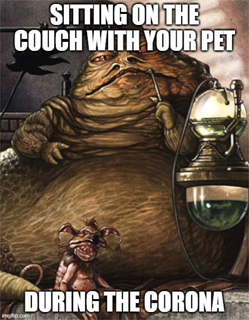 Star Wars Jabba the Hut | SITTING ON THE COUCH WITH YOUR PET; DURING THE CORONA | image tagged in star wars jabba the hut | made w/ Imgflip meme maker