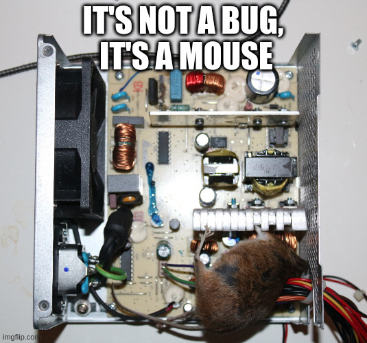 It's not a bug, it's a mouse | IT'S NOT A BUG,
 IT'S A MOUSE | image tagged in it's not a bug it's a mouse | made w/ Imgflip meme maker