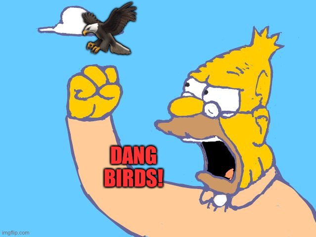 old man yells at cloud | ? DANG BIRDS! | image tagged in old man yells at cloud | made w/ Imgflip meme maker