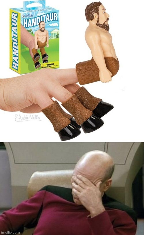 What is this? | image tagged in memes,captain picard facepalm,weird,what the hell | made w/ Imgflip meme maker