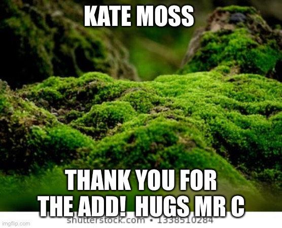 KATE MOSS; THANK YOU FOR THE ADD!  HUGS MR C | made w/ Imgflip meme maker