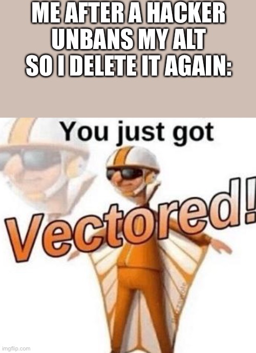 Hackers am I right? | ME AFTER A HACKER UNBANS MY ALT SO I DELETE IT AGAIN: | image tagged in you just got vectored,hax,hackers | made w/ Imgflip meme maker