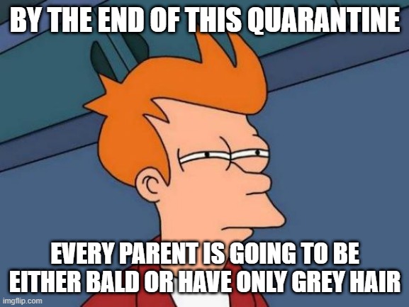 Futurama Fry | BY THE END OF THIS QUARANTINE; EVERY PARENT IS GOING TO BE EITHER BALD OR HAVE ONLY GREY HAIR | image tagged in memes,futurama fry | made w/ Imgflip meme maker