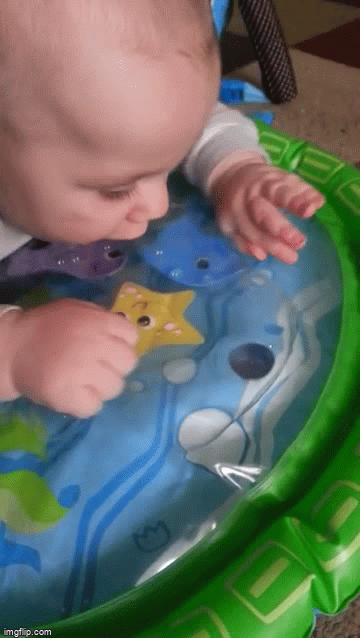 image tagged in gifs | made w/ Imgflip video-to-gif maker