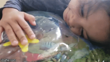 image tagged in gifs | made w/ Imgflip video-to-gif maker