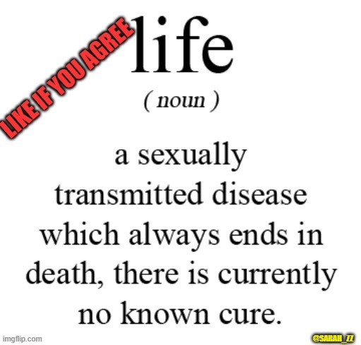 The meaning of life (so true) | image tagged in the meaning of life | made w/ Imgflip meme maker