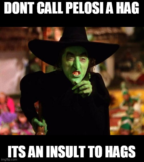 wicked witch  | DONT CALL PELOSI A HAG ITS AN INSULT TO HAGS | image tagged in wicked witch | made w/ Imgflip meme maker