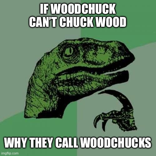 Philosoraptor Meme | IF WOODCHUCK CAN’T CHUCK WOOD; WHY THEY CALL WOODCHUCKS | image tagged in memes,philosoraptor | made w/ Imgflip meme maker