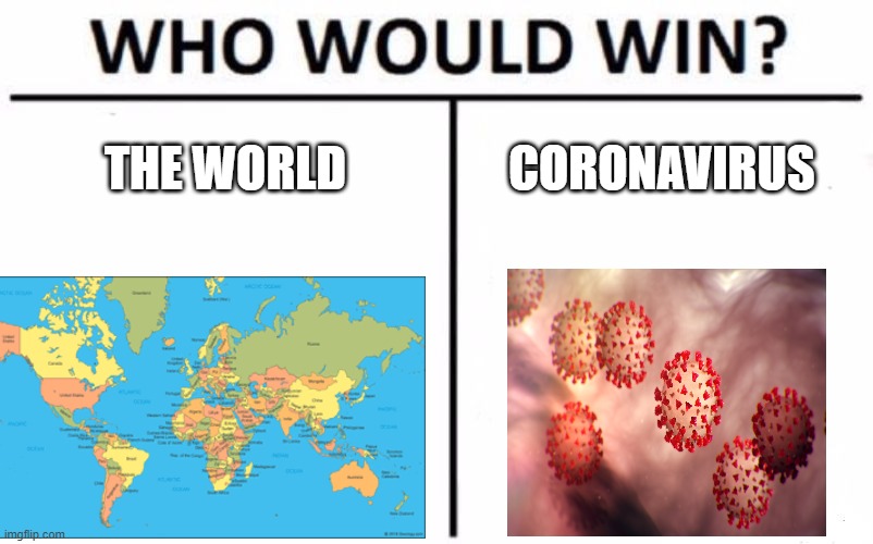 Who Would Win? | THE WORLD; CORONAVIRUS | image tagged in memes,who would win | made w/ Imgflip meme maker