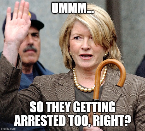 martha stewart they getting arrested too, right? | UMMM... SO THEY GETTING ARRESTED TOO, RIGHT? | image tagged in martha stewart,arrested,political meme,justice,congress,government corruption | made w/ Imgflip meme maker