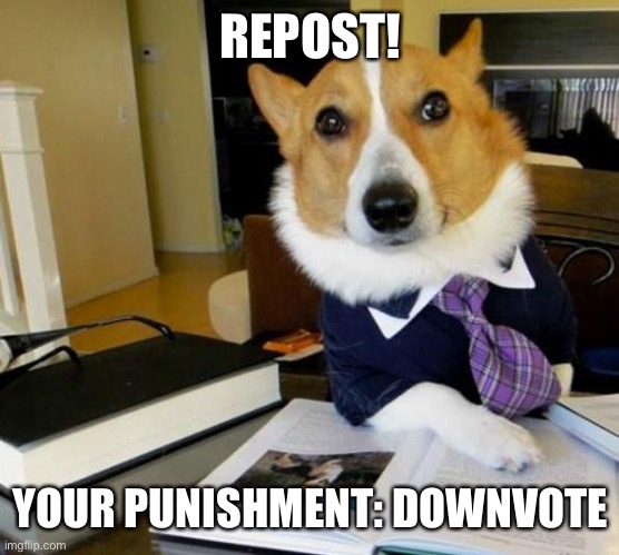 Lawyer Corgi Dog | REPOST! YOUR PUNISHMENT: DOWNVOTE | image tagged in lawyer corgi dog | made w/ Imgflip meme maker