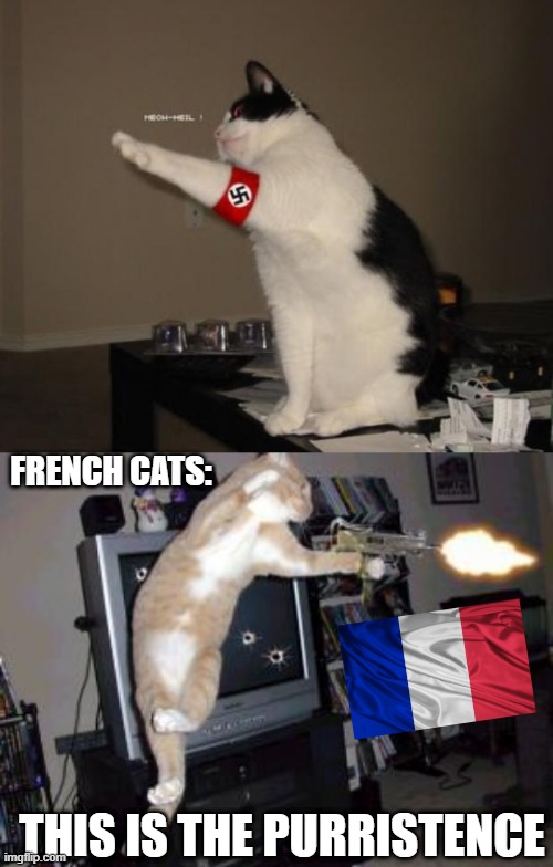 FRENCH CATS:; THIS IS THE PURRISTENCE | image tagged in nazi salute cat,machine gun cat,resistance,pur | made w/ Imgflip meme maker