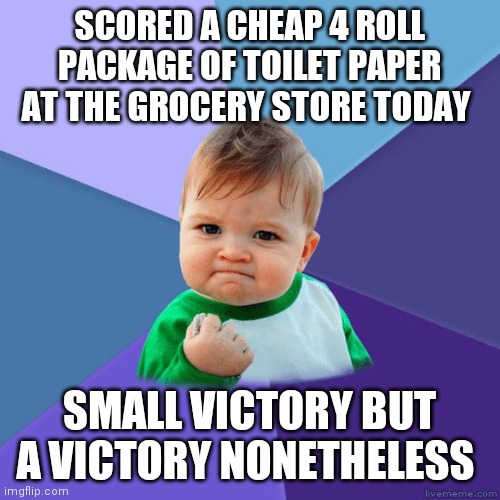 Success kid | SCORED A CHEAP 4 ROLL PACKAGE OF TOILET PAPER AT THE GROCERY STORE TODAY; SMALL VICTORY BUT A VICTORY NONETHELESS | image tagged in success kid | made w/ Imgflip meme maker