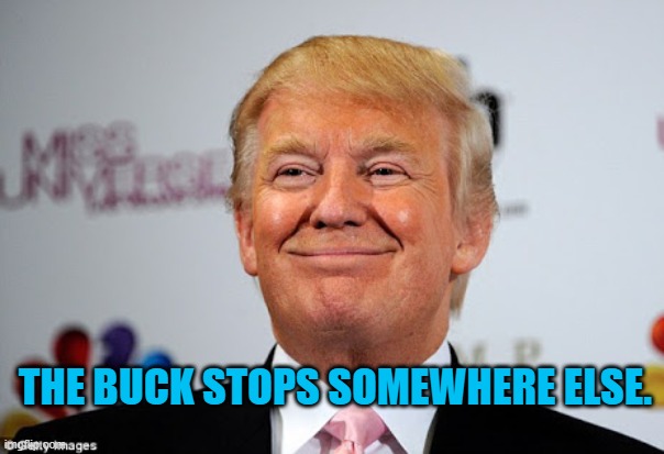 Donald trump approves | THE BUCK STOPS SOMEWHERE ELSE. | image tagged in donald trump approves | made w/ Imgflip meme maker