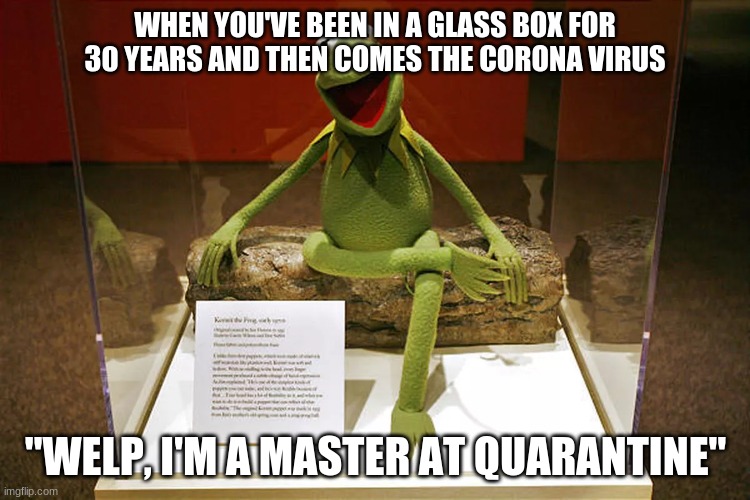WHEN YOU'VE BEEN IN A GLASS BOX FOR 30 YEARS AND THEN COMES THE CORONA VIRUS; "WELP, I'M A MASTER AT QUARANTINE" | image tagged in kermit the frog | made w/ Imgflip meme maker