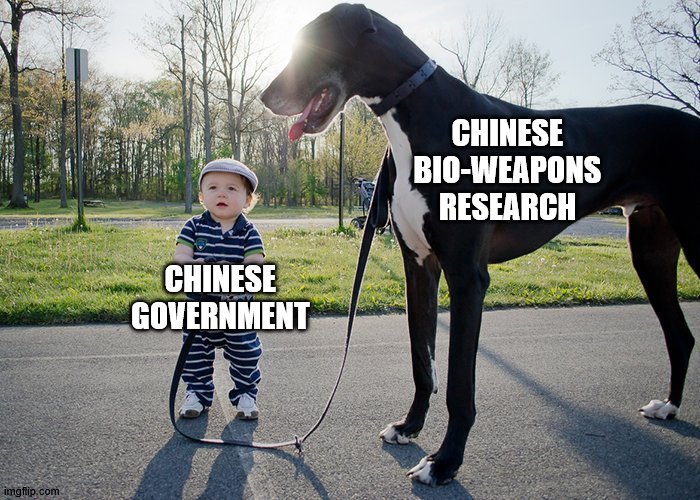 don't play with the big dogs | CHINESE BIO-WEAPONS RESEARCH; CHINESE GOVERNMENT | image tagged in politics | made w/ Imgflip meme maker
