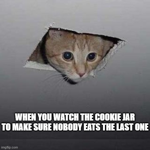 Ceiling Cat | WHEN YOU WATCH THE COOKIE JAR TO MAKE SURE NOBODY EATS THE LAST ONE | image tagged in memes,ceiling cat | made w/ Imgflip meme maker
