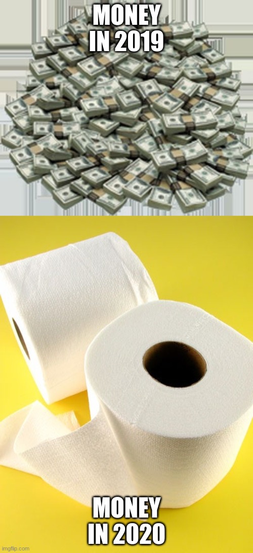 Comment if most true thing ever | MONEY IN 2019; MONEY IN 2020 | image tagged in pile of money,toliet paper,covid19,coronavirus,i hate 2020,give me back 2019 when things were good | made w/ Imgflip meme maker